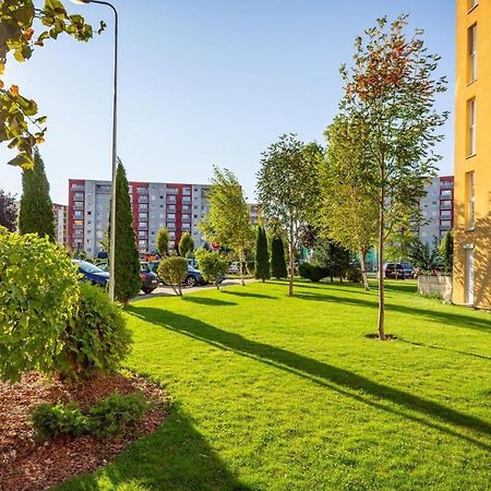 Apartment Richy Брашов Экстерьер фото