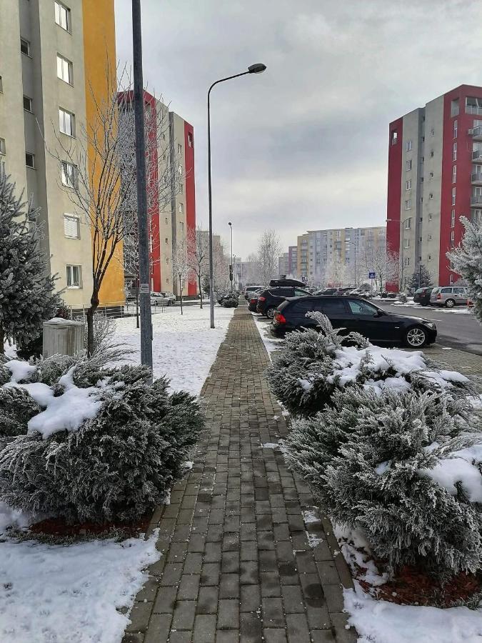 Apartment Richy Брашов Экстерьер фото